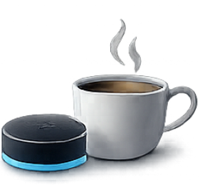 Morning Voice Command